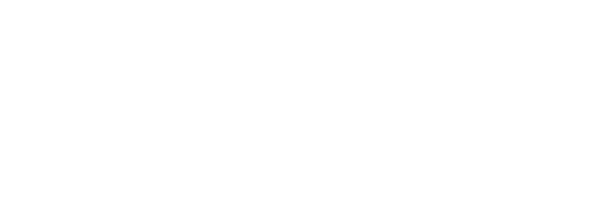 Logo VNL